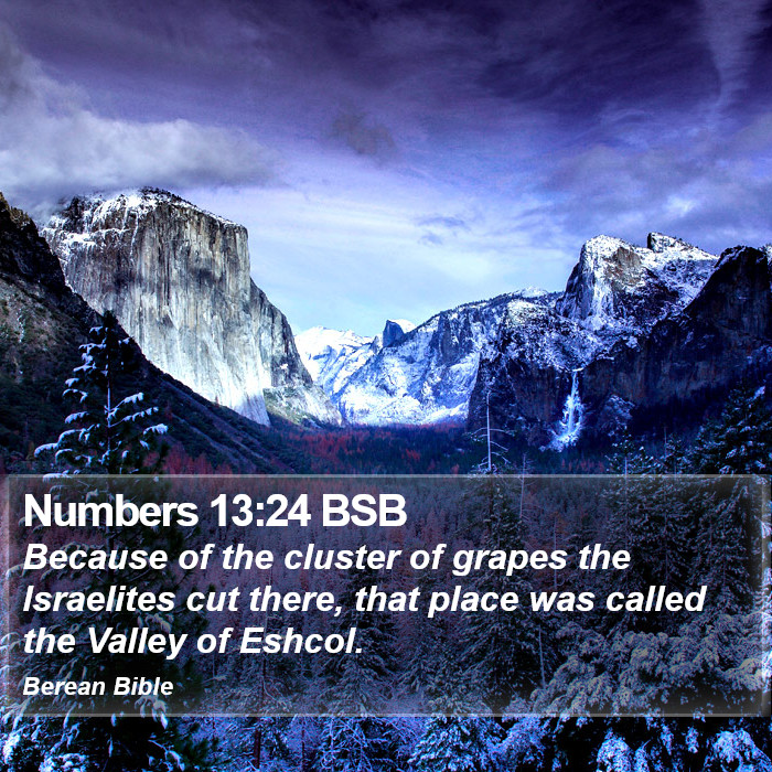 Numbers 13:24 BSB Bible Study