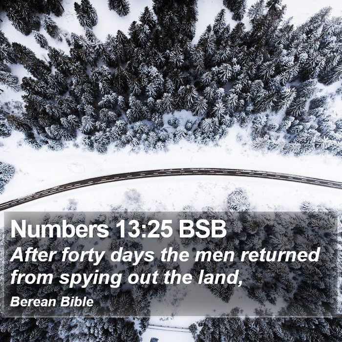 Numbers 13:25 BSB Bible Study