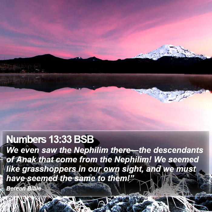 Numbers 13:33 BSB Bible Study