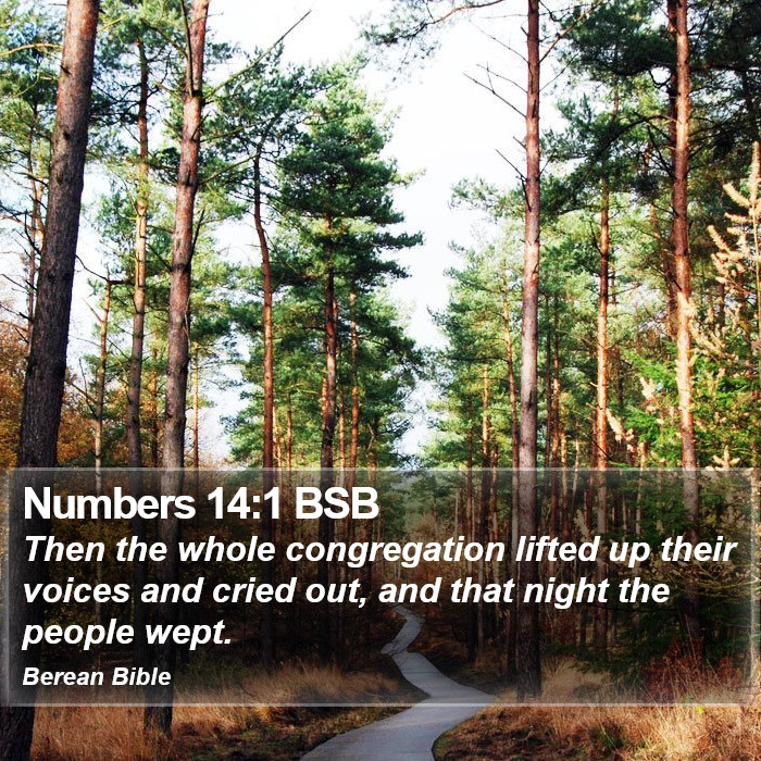 Numbers 14:1 BSB Bible Study