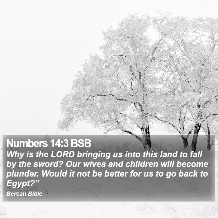 Numbers 14:3 BSB Bible Study