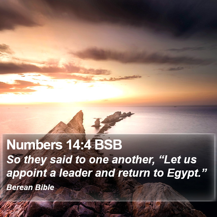 Numbers 14:4 BSB Bible Study