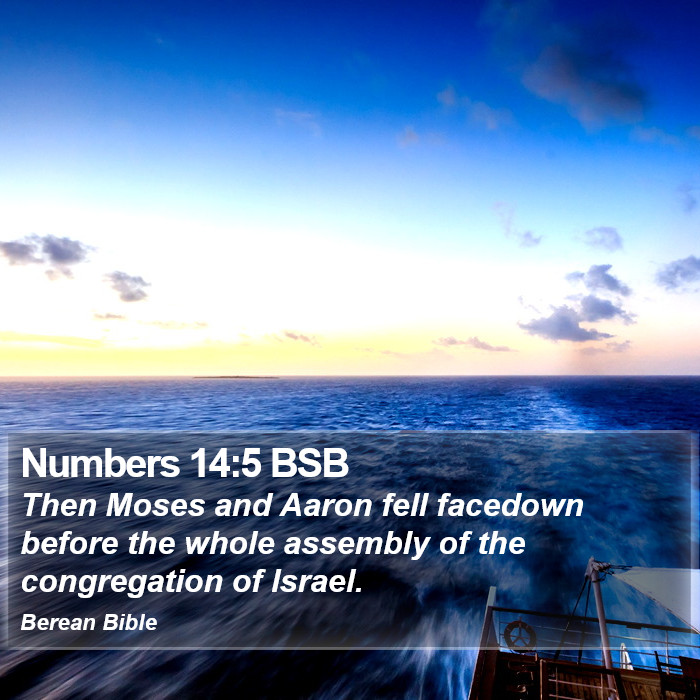 Numbers 14:5 BSB Bible Study