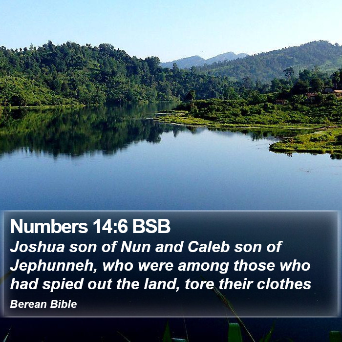 Numbers 14:6 BSB Bible Study