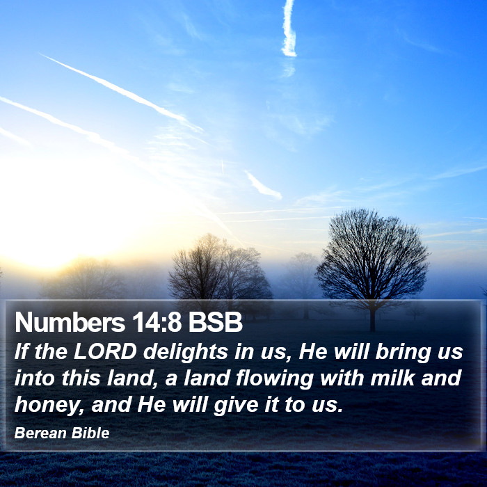 Numbers 14:8 BSB Bible Study