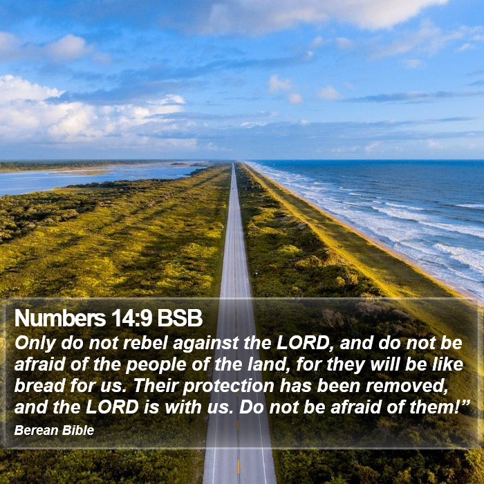 Numbers 14:9 BSB Bible Study