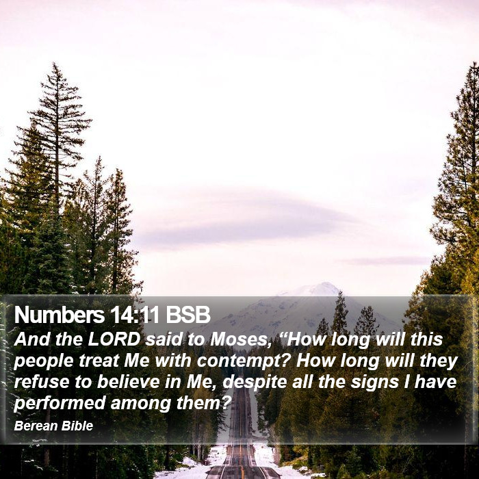 Numbers 14:11 BSB Bible Study