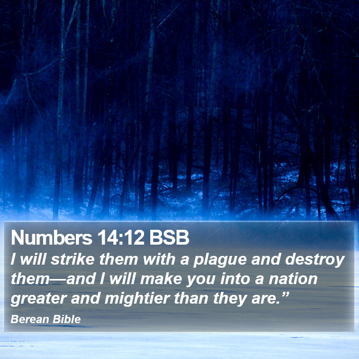 Numbers 14:12 BSB Bible Study