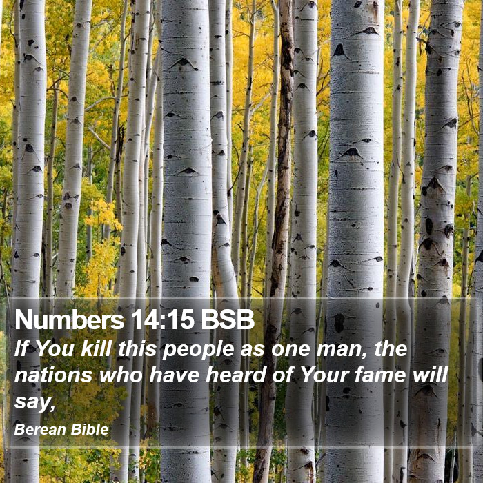 Numbers 14:15 BSB Bible Study