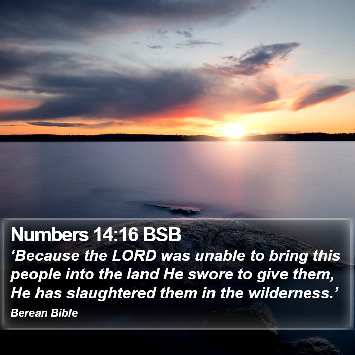 Numbers 14:16 BSB Bible Study