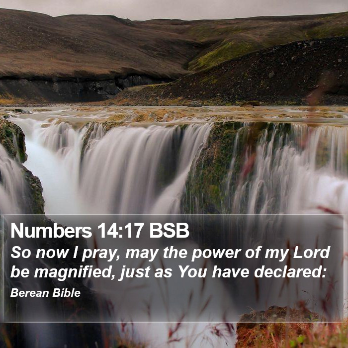 Numbers 14:17 BSB Bible Study