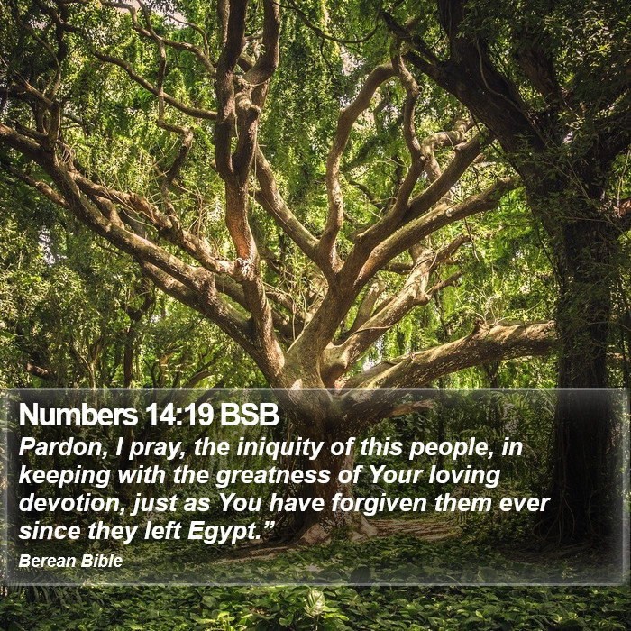 Numbers 14:19 BSB Bible Study