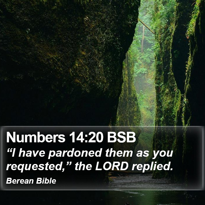 Numbers 14:20 BSB Bible Study