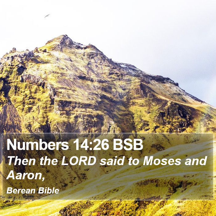 Numbers 14:26 BSB Bible Study