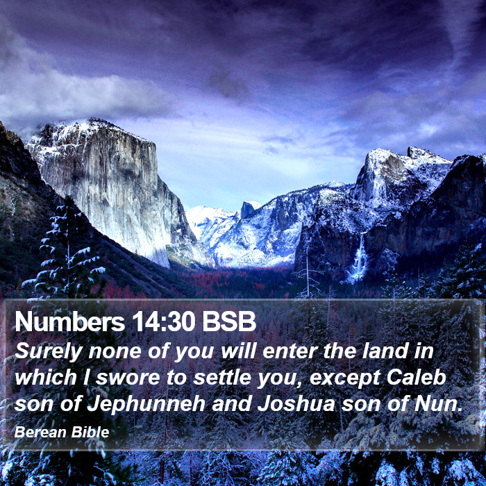 Numbers 14:30 BSB Bible Study