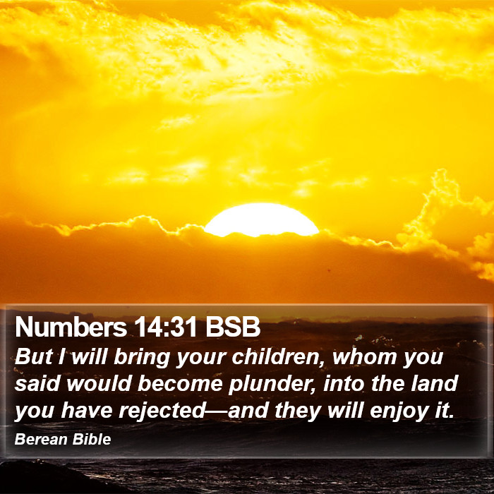 Numbers 14:31 BSB Bible Study