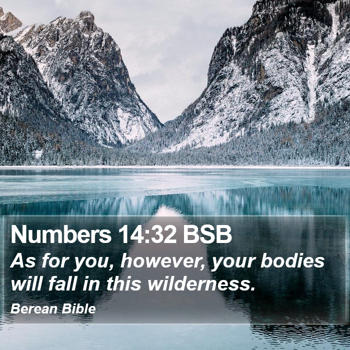 Numbers 14:32 BSB Bible Study