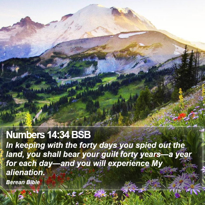 Numbers 14:34 BSB Bible Study