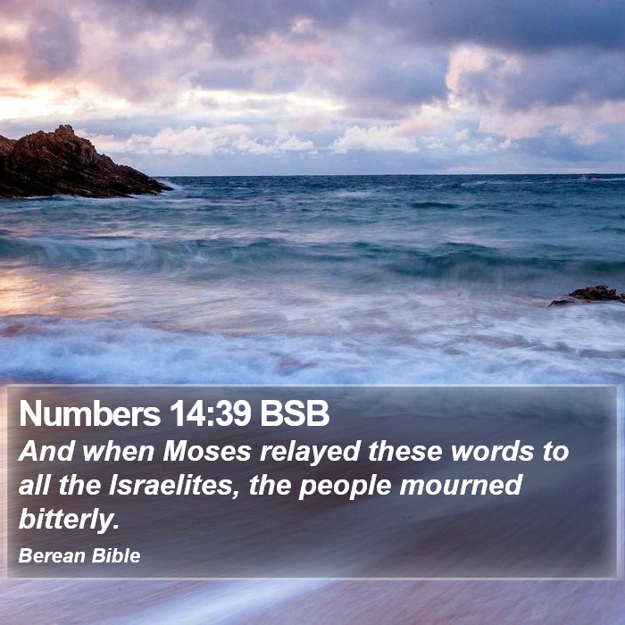 Numbers 14:39 BSB Bible Study