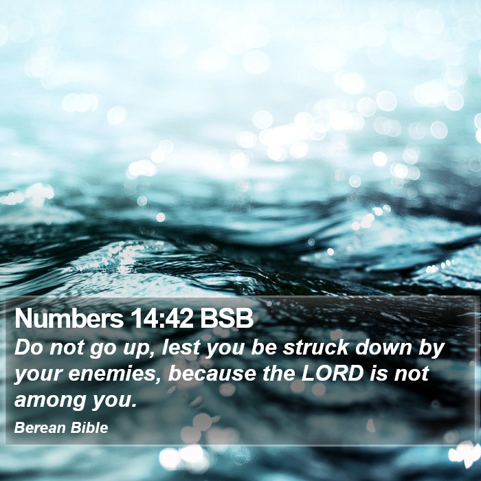 Numbers 14:42 BSB Bible Study