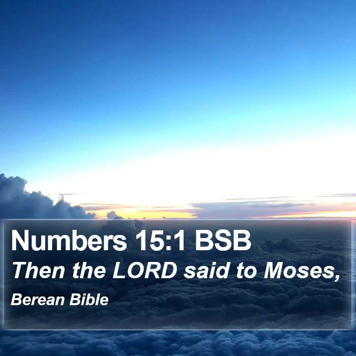 Numbers 15:1 BSB Bible Study