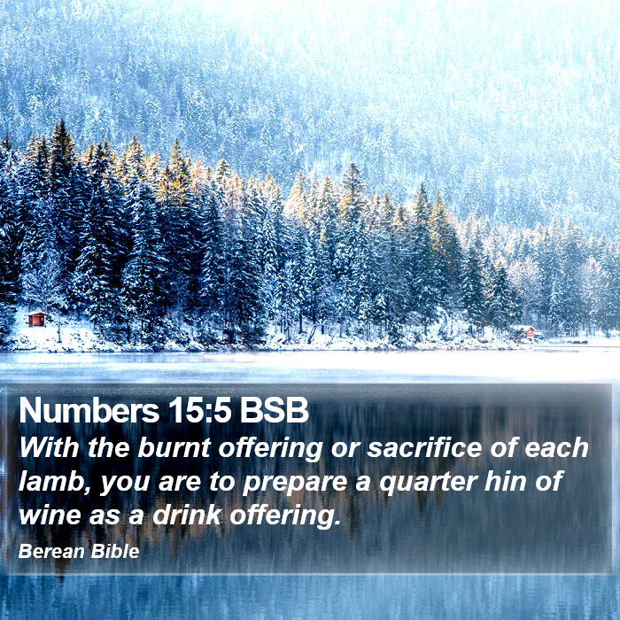 Numbers 15:5 BSB Bible Study