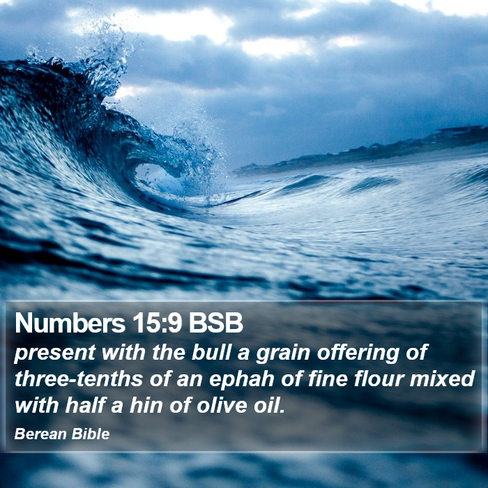 Numbers 15:9 BSB Bible Study