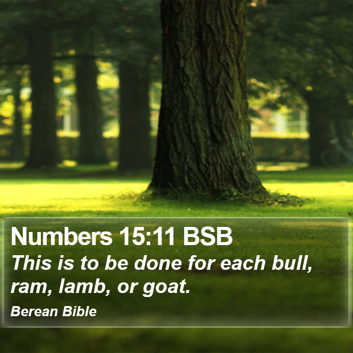 Numbers 15:11 BSB Bible Study