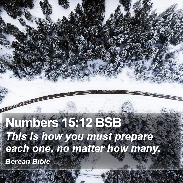 Numbers 15:12 BSB Bible Study