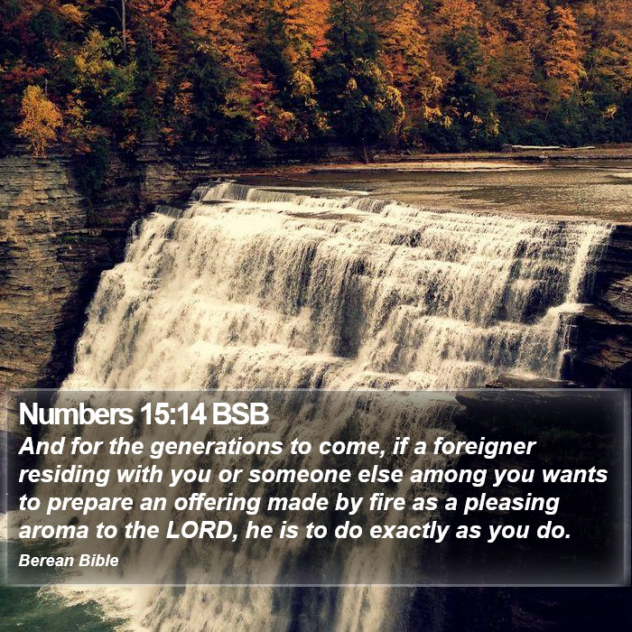 Numbers 15:14 BSB Bible Study