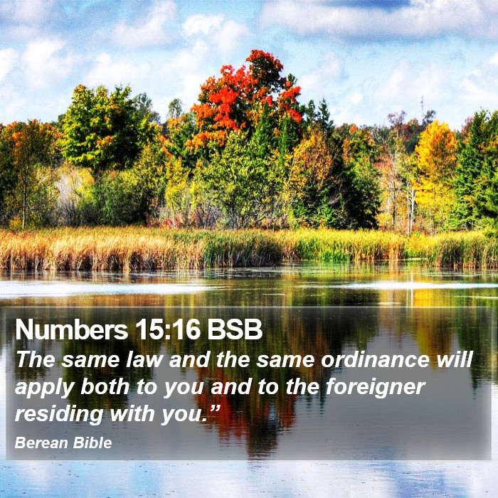 Numbers 15:16 BSB Bible Study