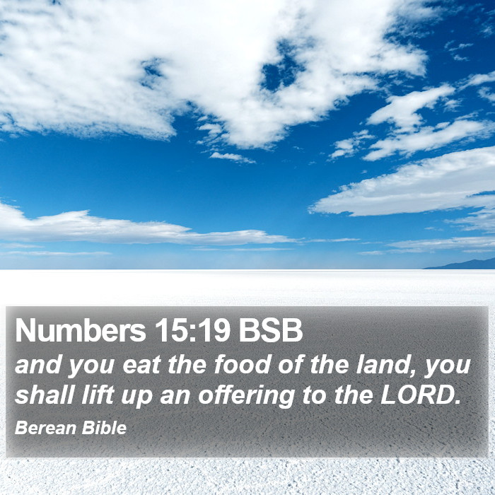 Numbers 15:19 BSB Bible Study