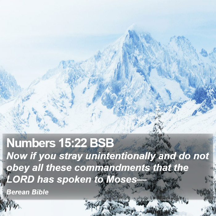 Numbers 15:22 BSB Bible Study