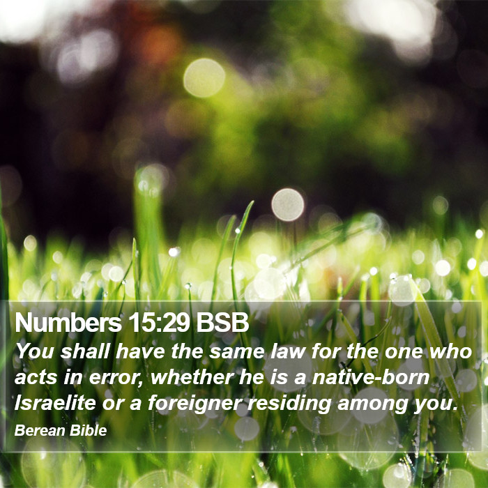 Numbers 15:29 BSB Bible Study