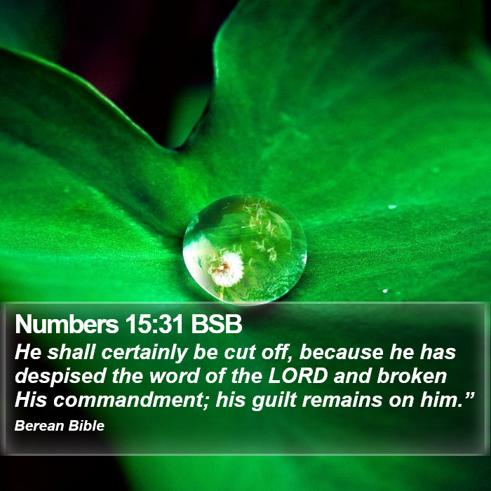 Numbers 15:31 BSB Bible Study