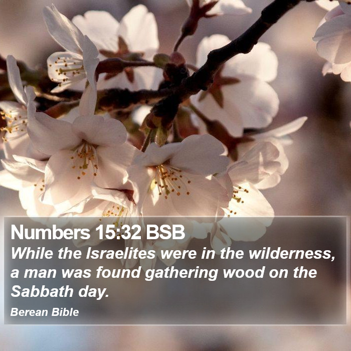 Numbers 15:32 BSB Bible Study