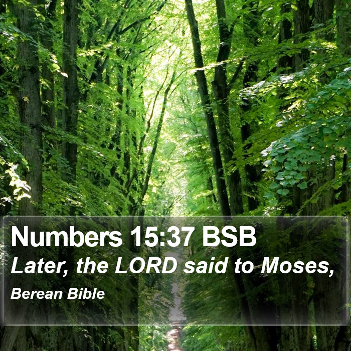 Numbers 15:37 BSB Bible Study