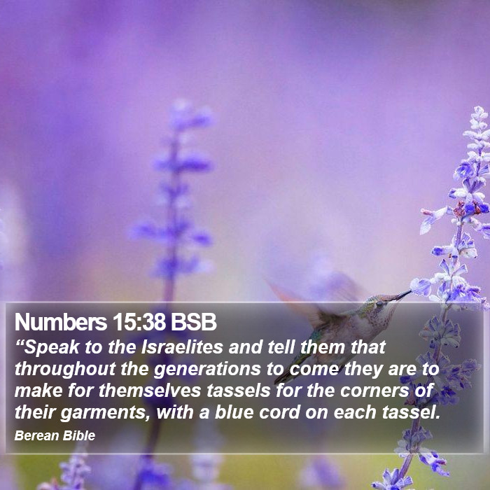 Numbers 15:38 BSB Bible Study