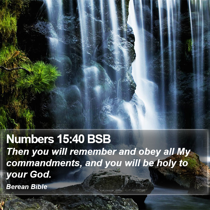 Numbers 15:40 BSB Bible Study