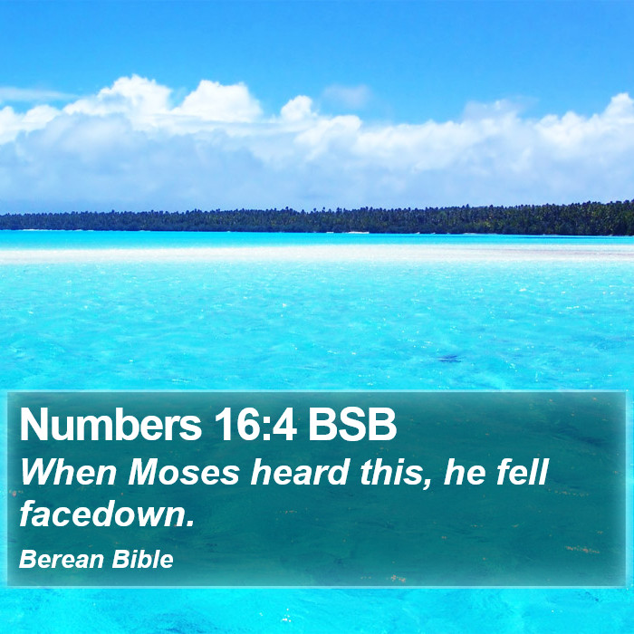 Numbers 16:4 BSB Bible Study