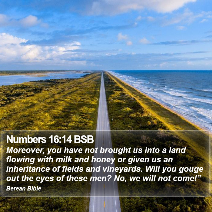 Numbers 16:14 BSB Bible Study