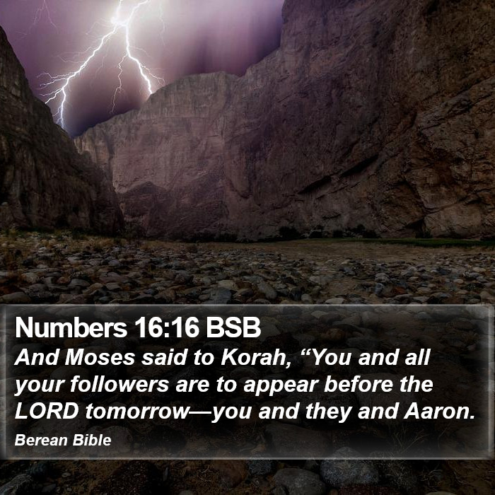 Numbers 16:16 BSB Bible Study