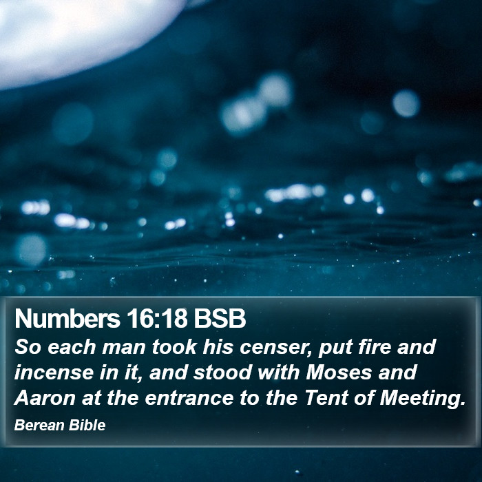 Numbers 16:18 BSB Bible Study