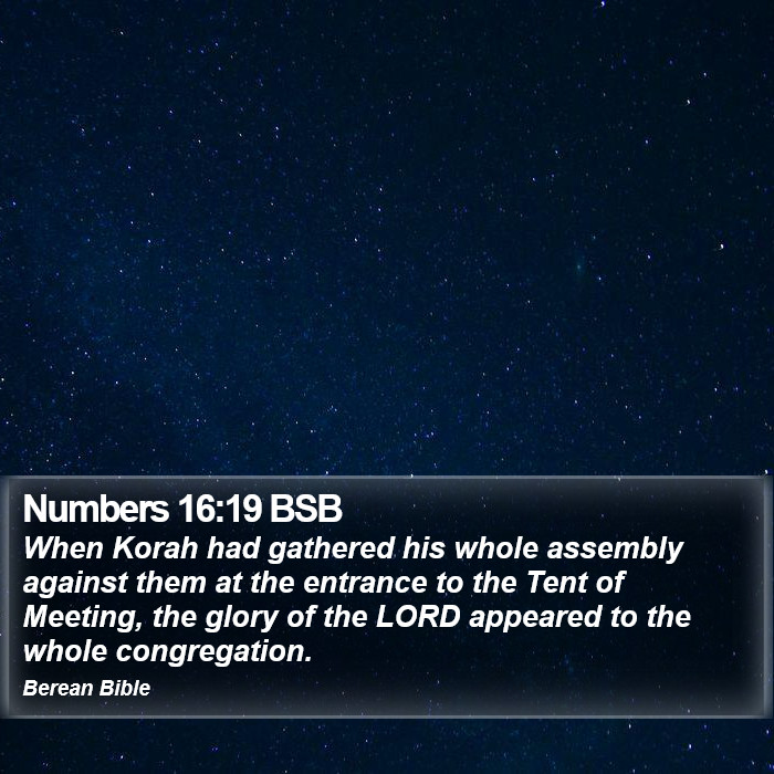 Numbers 16:19 BSB Bible Study