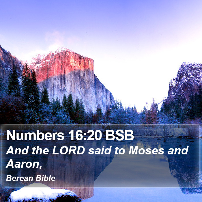 Numbers 16:20 BSB Bible Study