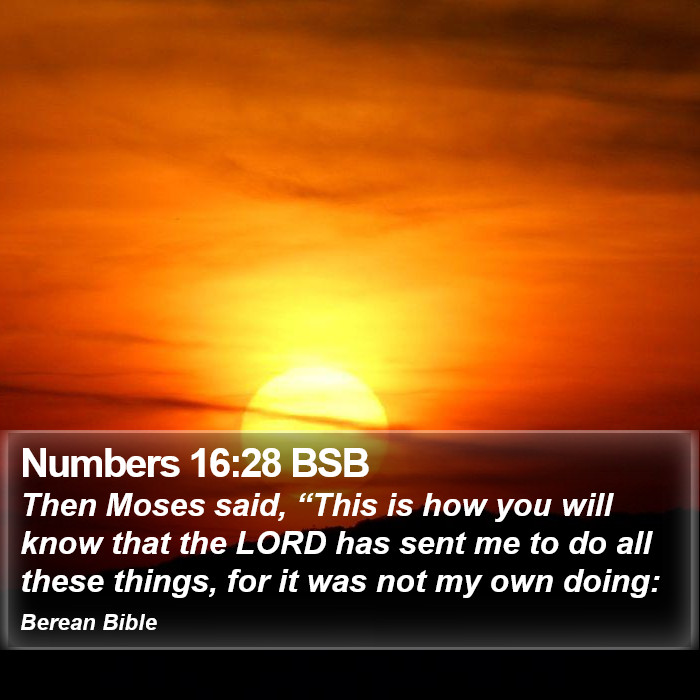 Numbers 16:28 BSB Bible Study