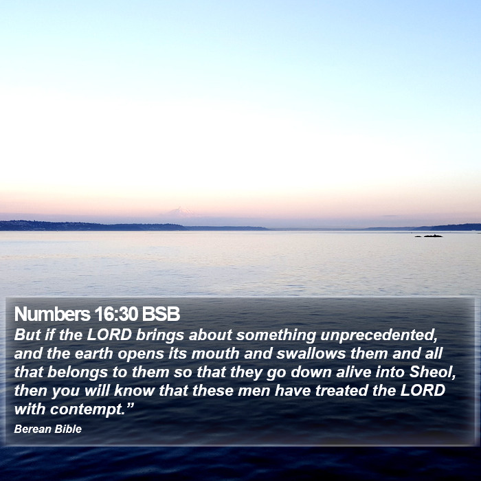 Numbers 16:30 BSB Bible Study