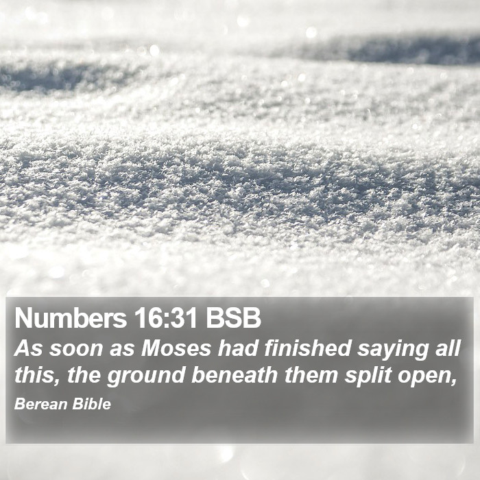 Numbers 16:31 BSB Bible Study