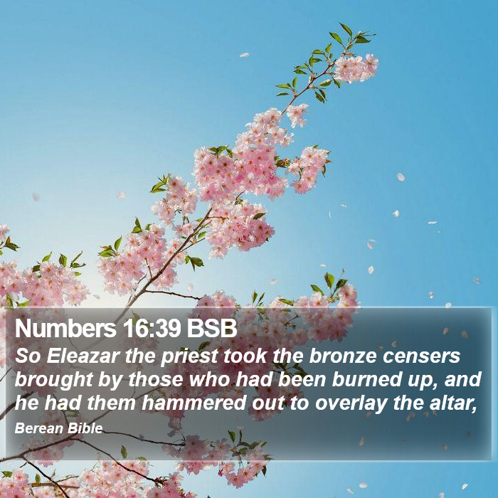 Numbers 16:39 BSB Bible Study