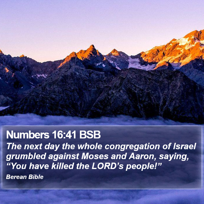 Numbers 16:41 BSB Bible Study